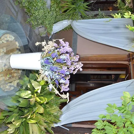 Dal Moccia Bed and Breakfast 4*
